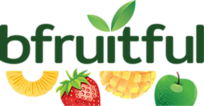 12 Count Freeze Dried Strawberries – Bfruitful